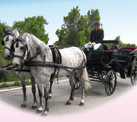 Matrimonio in carrozza